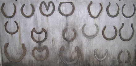 Selection of horseshoes