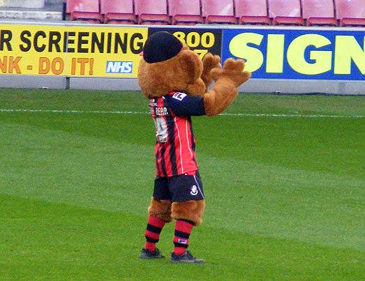 AFC Bournemouth Cherry Bear