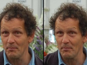 No, you fool, that's *Monty* Dons! Excuse me while I sack my image gofer... (c)Andy Mabbett