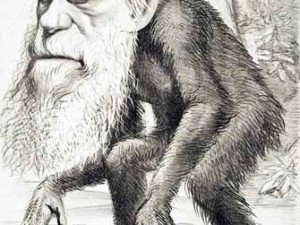 Darwin Monkey's Uncle