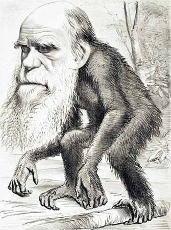 Darwin Monkey's Uncle