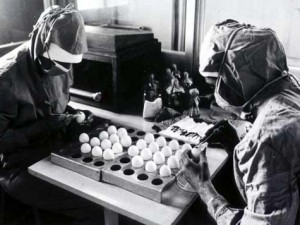 Chicken egg surgery
