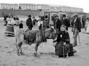 Donkey rides