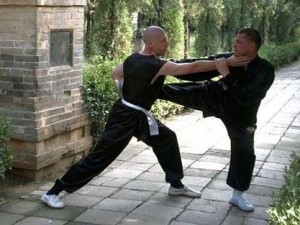 Kung fu fighting