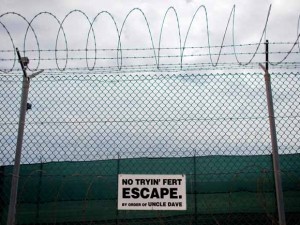 No tryin' fert escape