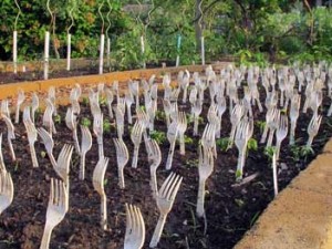 Plastic fork growing