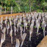 Plastic fork growing