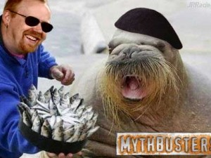 Mythbusters Jrracing64