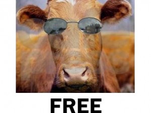 PWU Wigan Athletic Podcast No. 154: A loan in the dark