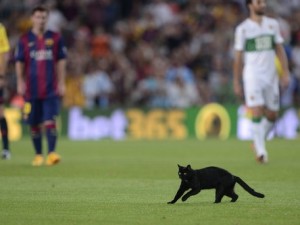 PWU Wigan Athletic Podcast No. 159: Blame and misfortune